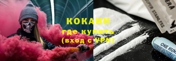 молекула духа Бородино