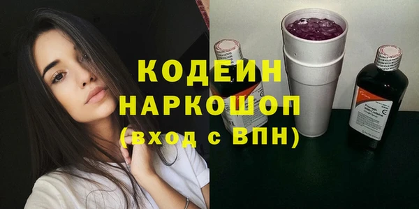 молекула духа Бородино