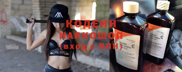 молекула духа Бородино