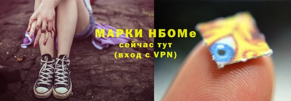 молекула духа Бородино