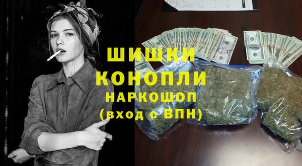 молекула духа Бородино