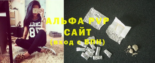 молекула духа Бородино