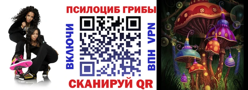 Купить  Кропоткин  Псилоцибиновые грибы Psilocybe 